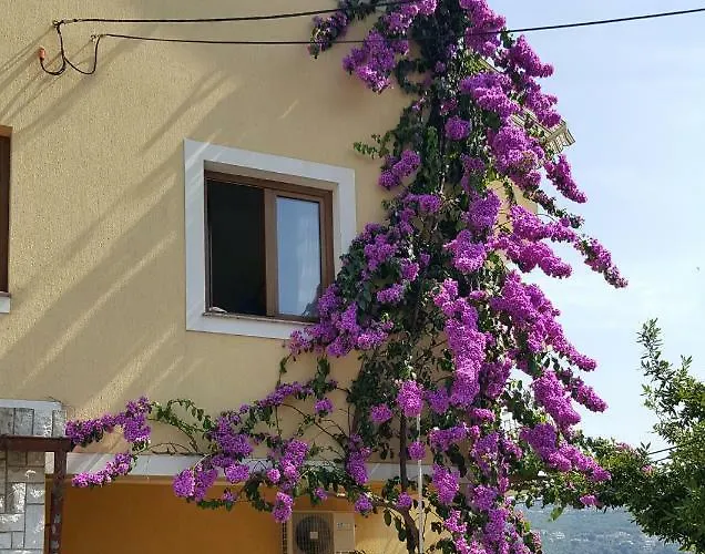 Apatmani Milena * Οπατία