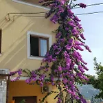 Apatmani Milena * Abbazia
